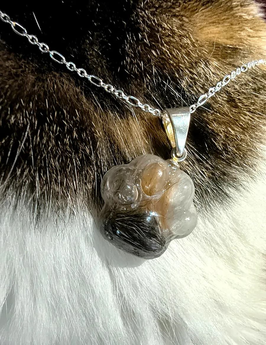 Patita de resina con el pelo de la mascota, sobre el pelaje de un gato